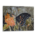 Mariposa En La Naturaleza Iv - B. Lynnsy | Cuadro decorativo de Canvas Lab