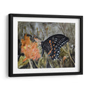 Mariposa En La Naturaleza Iv - B. Lynnsy | Cuadro decorativo de Canvas Lab