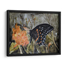 Mariposa En La Naturaleza Iv - B. Lynnsy | Cuadro decorativo de Canvas Lab