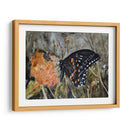 Mariposa En La Naturaleza Iv - B. Lynnsy | Cuadro decorativo de Canvas Lab