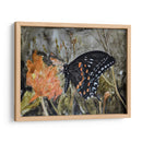 Mariposa En La Naturaleza Iv - B. Lynnsy | Cuadro decorativo de Canvas Lab