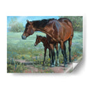 Ojo Vigilante - Jack Sorenson | Cuadro decorativo de Canvas Lab