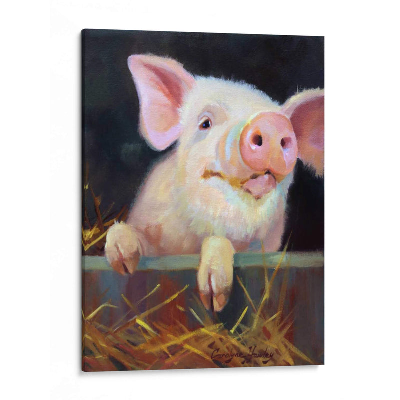 Farm Club Ii - Carolyne Hawley | Cuadro decorativo de Canvas Lab