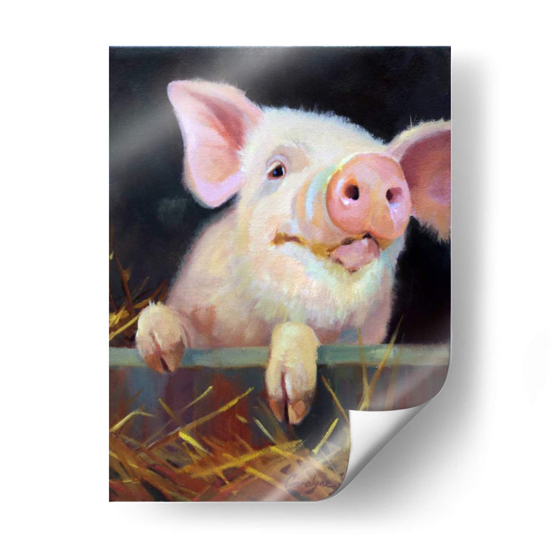 Farm Club Ii - Carolyne Hawley | Cuadro decorativo de Canvas Lab