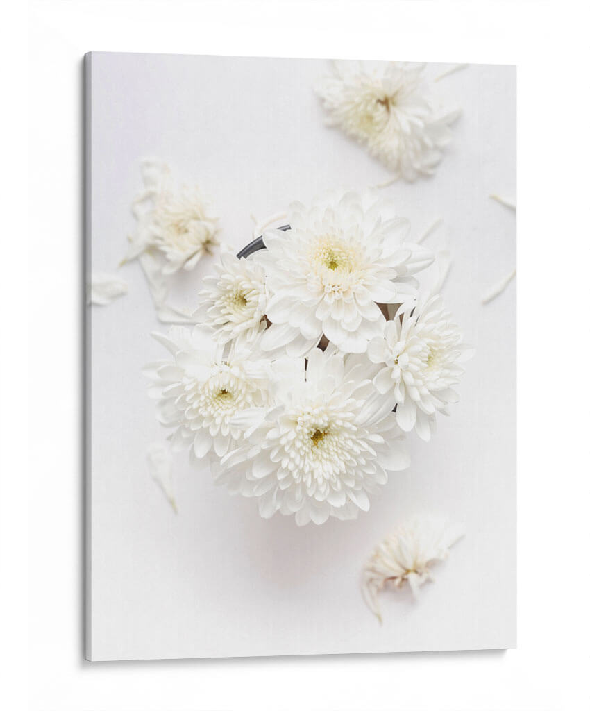 Blanco sobre blanco | Cuadro decorativo de Canvas Lab