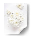 Blanco sobre blanco | Cuadro decorativo de Canvas Lab