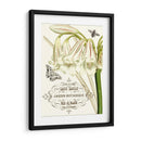 Jardin Botanique I - Vision Studio | Cuadro decorativo de Canvas Lab