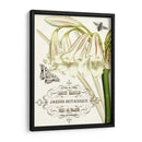 Jardin Botanique I - Vision Studio | Cuadro decorativo de Canvas Lab