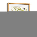 Jardin Botanique I - Vision Studio | Cuadro decorativo de Canvas Lab