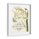Jardin Botanique I - Vision Studio | Cuadro decorativo de Canvas Lab