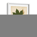 Naturaleza Collage I - Vision Studio | Cuadro decorativo de Canvas Lab