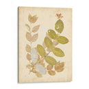 Collage De Naturalezas Ii - Vision Studio | Cuadro decorativo de Canvas Lab