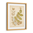 Collage De Naturalezas Ii - Vision Studio | Cuadro decorativo de Canvas Lab