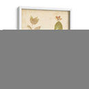 Collage De Naturalezas Ii - Vision Studio | Cuadro decorativo de Canvas Lab