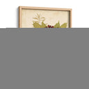 Collage De Naturaleza Iv - Vision Studio | Cuadro decorativo de Canvas Lab