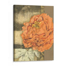 Pequeña Floración Etérea Iii - Jennifer Goldberger | Cuadro decorativo de Canvas Lab