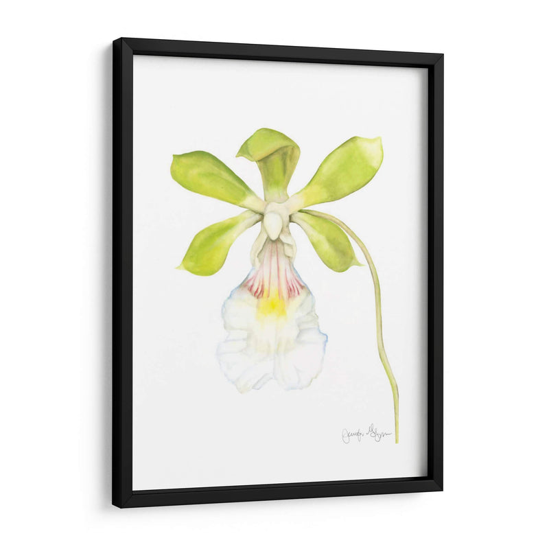 Belleza Orquídea I - Jennifer Goldberger | Cuadro decorativo de Canvas Lab