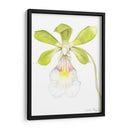 Belleza Orquídea I - Jennifer Goldberger | Cuadro decorativo de Canvas Lab