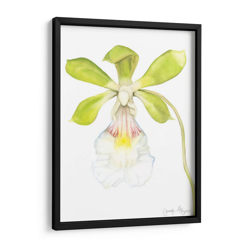 Belleza Orquídea I - Jennifer Goldberger | Cuadro decorativo de Canvas Lab