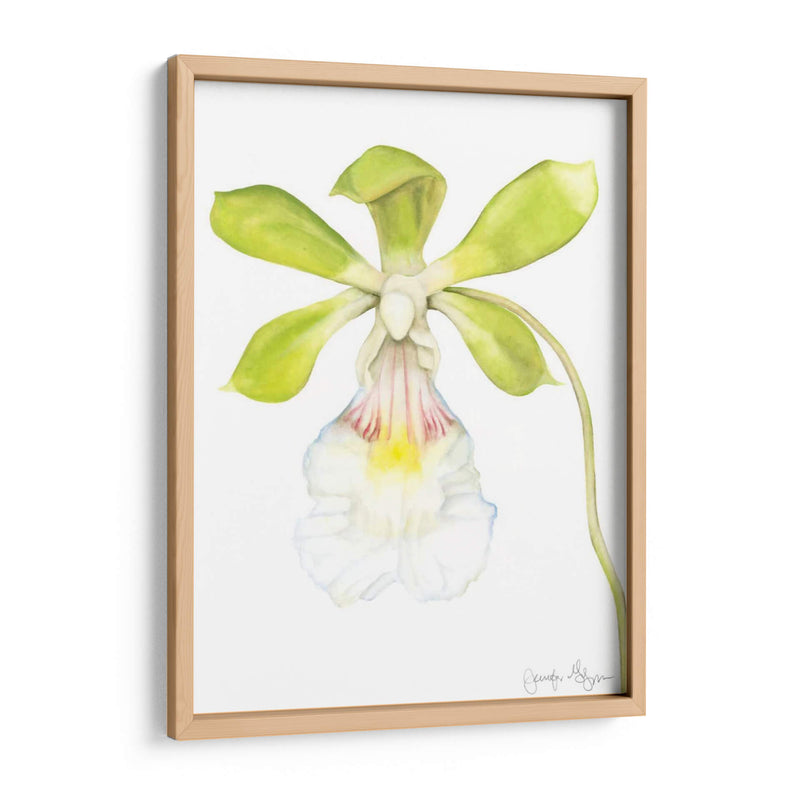 Belleza Orquídea I - Jennifer Goldberger | Cuadro decorativo de Canvas Lab