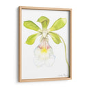 Belleza Orquídea I - Jennifer Goldberger | Cuadro decorativo de Canvas Lab