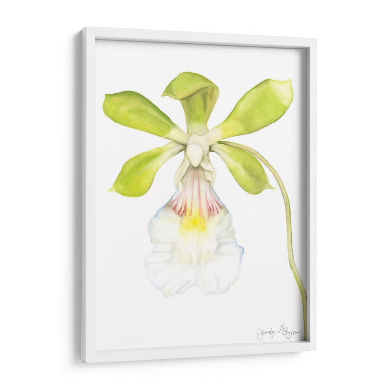 Belleza Orquídea I - Jennifer Goldberger | Cuadro decorativo de Canvas Lab