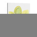 Orchid Beauty Ii - Jennifer Goldberger | Cuadro decorativo de Canvas Lab