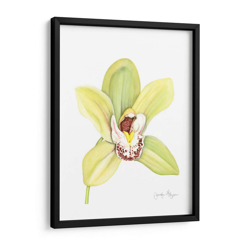 Orchid Beauty Ii - Jennifer Goldberger | Cuadro decorativo de Canvas Lab