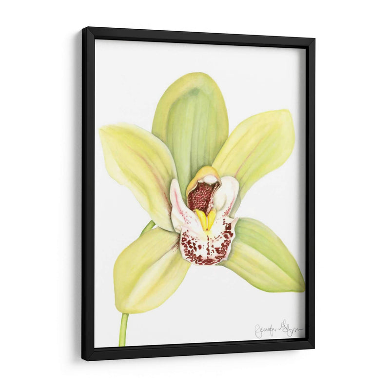 Orchid Beauty Ii - Jennifer Goldberger | Cuadro decorativo de Canvas Lab