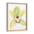 Orchid Beauty Ii - Jennifer Goldberger | Cuadro decorativo de Canvas Lab
