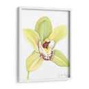 Orchid Beauty Ii - Jennifer Goldberger | Cuadro decorativo de Canvas Lab