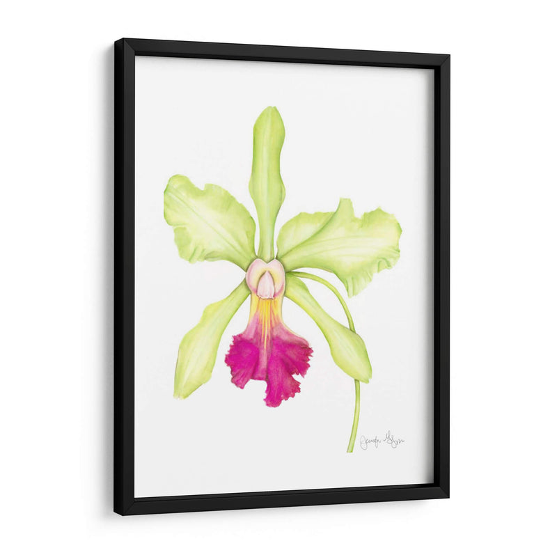 Orquídea Belleza Iii - Jennifer Goldberger | Cuadro decorativo de Canvas Lab