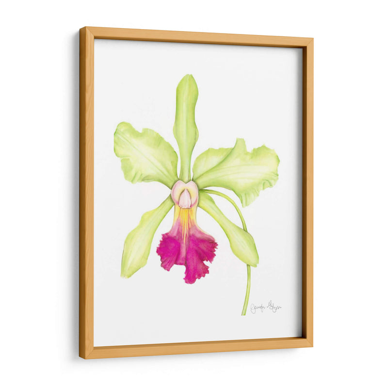 Orquídea Belleza Iii - Jennifer Goldberger | Cuadro decorativo de Canvas Lab