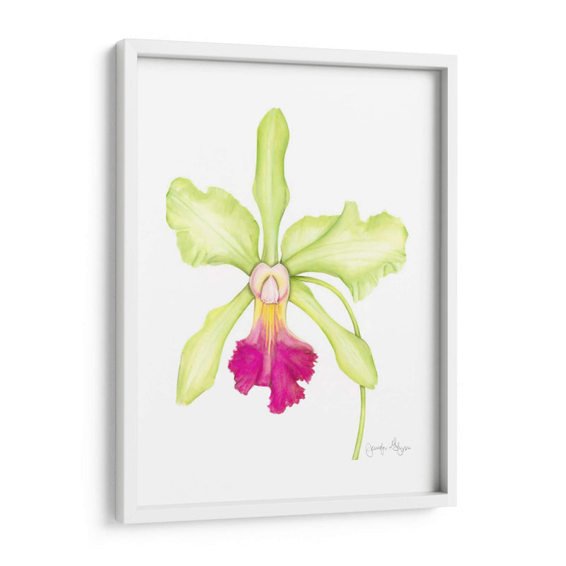 Orquídea Belleza Iii - Jennifer Goldberger | Cuadro decorativo de Canvas Lab