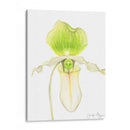 Orquídea Belleza Iv - Jennifer Goldberger | Cuadro decorativo de Canvas Lab