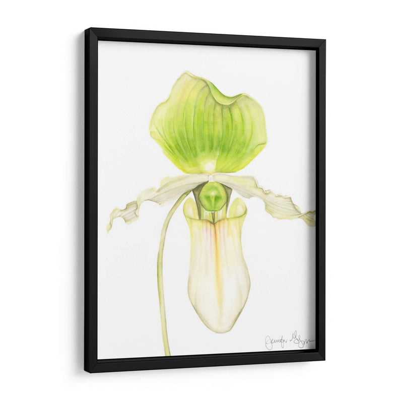 Orquídea Belleza Iv - Jennifer Goldberger | Cuadro decorativo de Canvas Lab