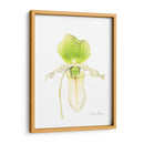 Orquídea Belleza Iv - Jennifer Goldberger | Cuadro decorativo de Canvas Lab