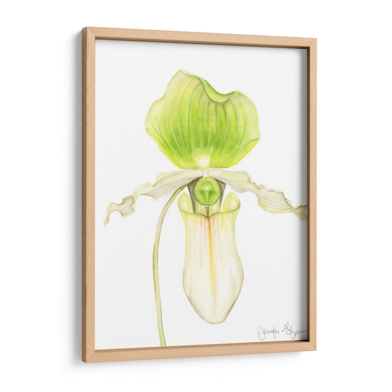 Orquídea Belleza Iv - Jennifer Goldberger | Cuadro decorativo de Canvas Lab