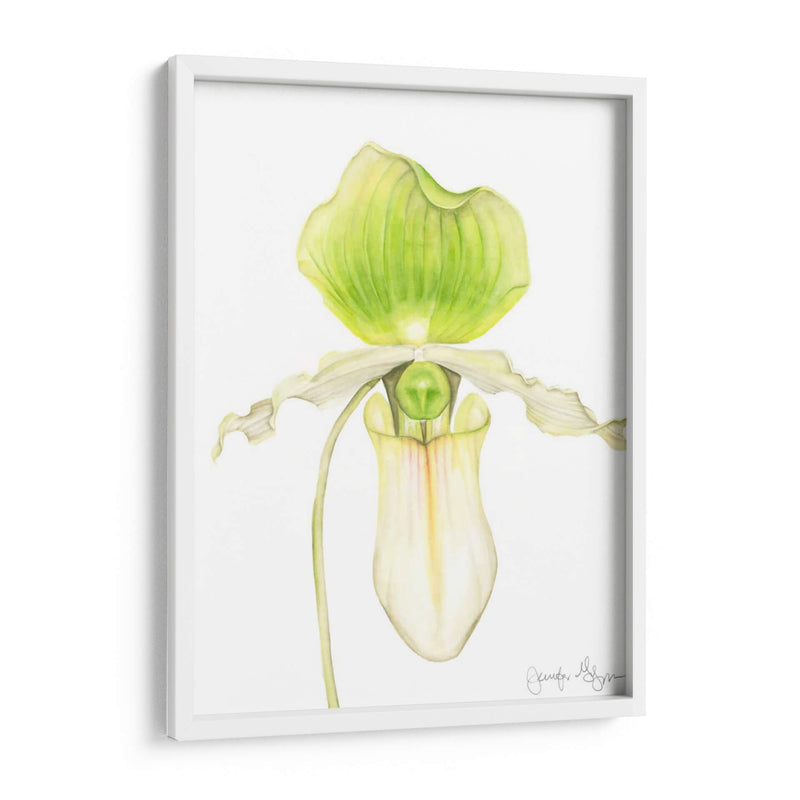 Orquídea Belleza Iv - Jennifer Goldberger | Cuadro decorativo de Canvas Lab