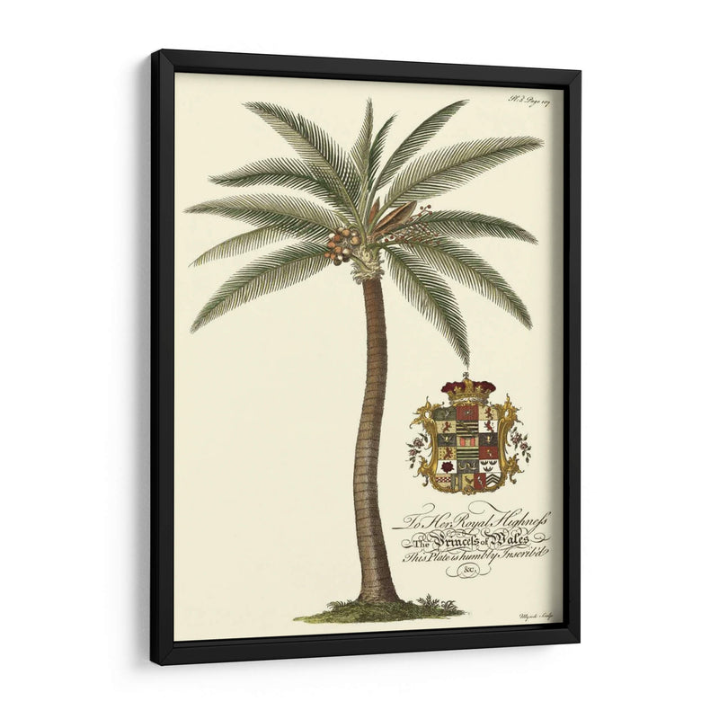 Palmera De Cocos - Porter Design | Cuadro decorativo de Canvas Lab