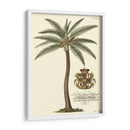 Palmera De Cocos - Porter Design | Cuadro decorativo de Canvas Lab