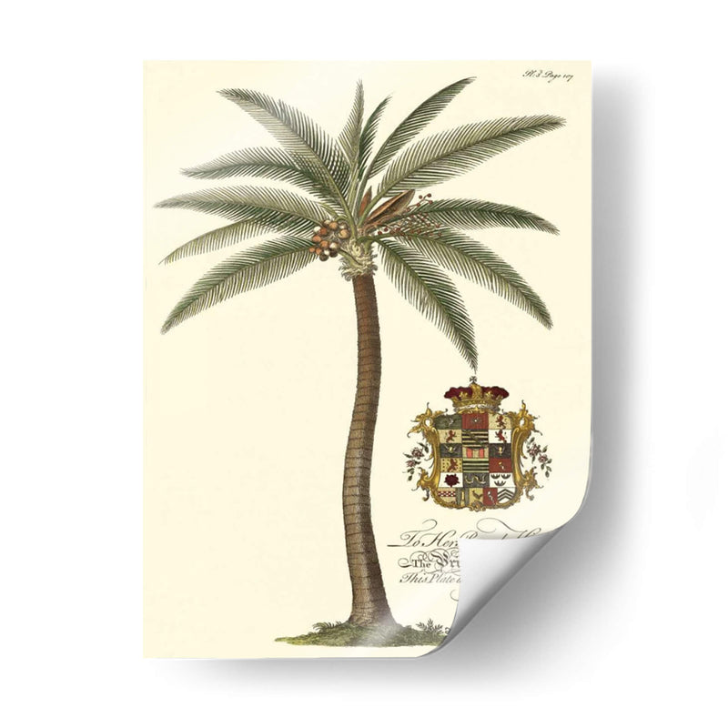 Palmera De Cocos - Porter Design | Cuadro decorativo de Canvas Lab