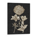 Dramático Chintz Iv - Vision Studio | Cuadro decorativo de Canvas Lab