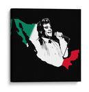 Juan Gabriel es México | Cuadro decorativo de Canvas Lab