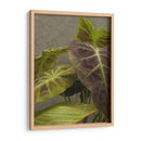 Hojas Dramáticas No Adornadas I - Charliklia Zarris | Cuadro decorativo de Canvas Lab