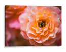 Blossom | Cuadro decorativo de Canvas Lab