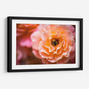 Blossom | Cuadro decorativo de Canvas Lab