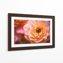 Blossom | Cuadro decorativo de Canvas Lab