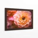 Blossom | Cuadro decorativo de Canvas Lab