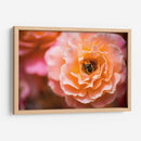 Blossom | Cuadro decorativo de Canvas Lab